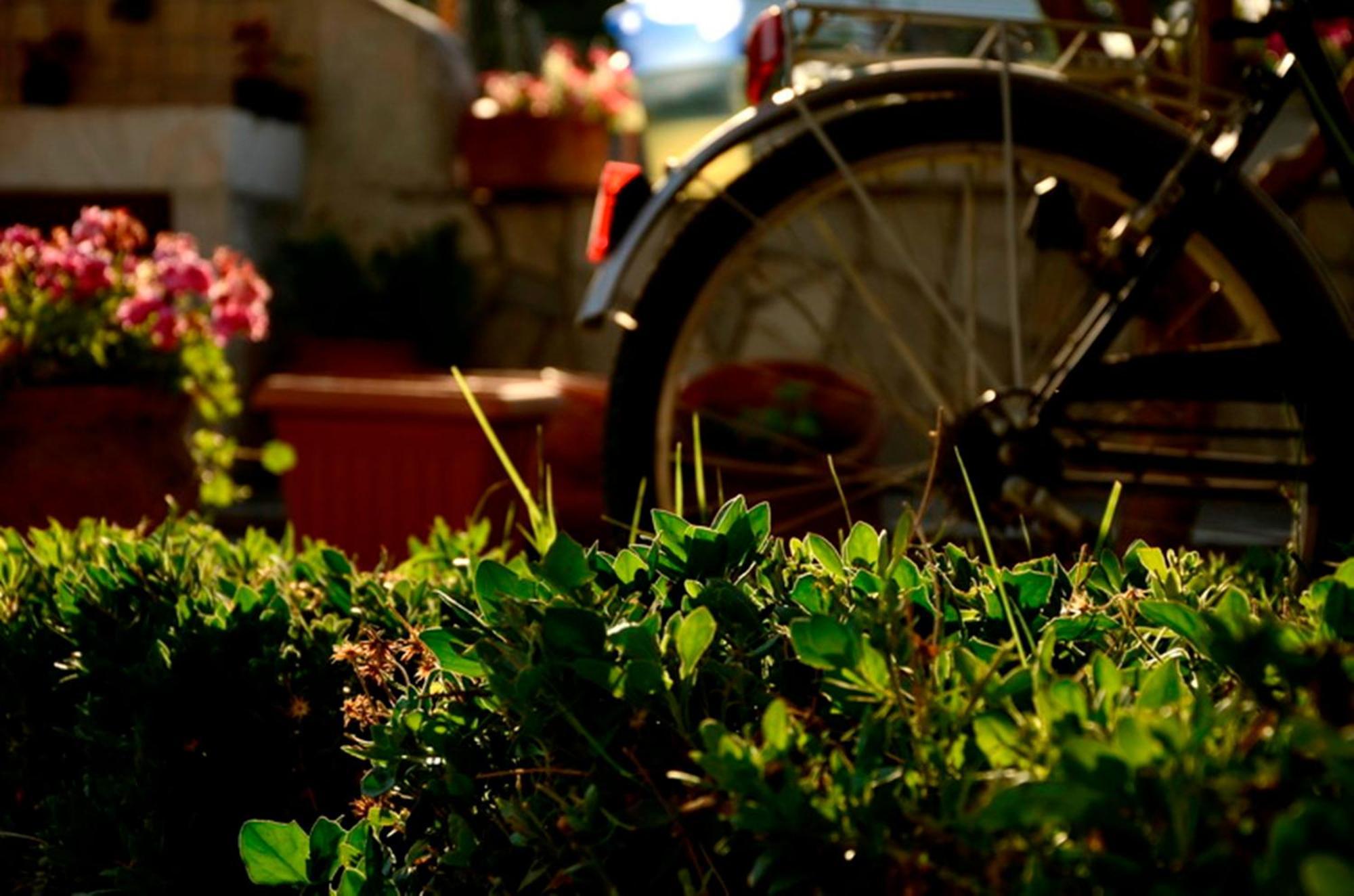 Garden House Apartment เวลิกา ภายนอก รูปภาพ